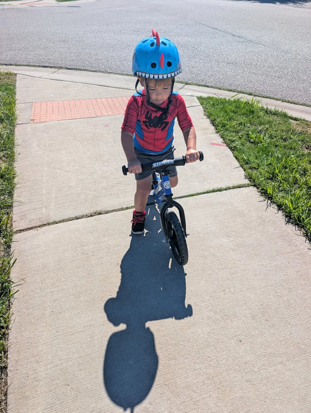 A young boy in a blue dinosaur helmet riding a balance bike down a driveway, facing the camera