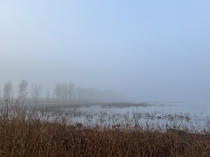 Fog over the lake at dawn, bare trees along the far shore