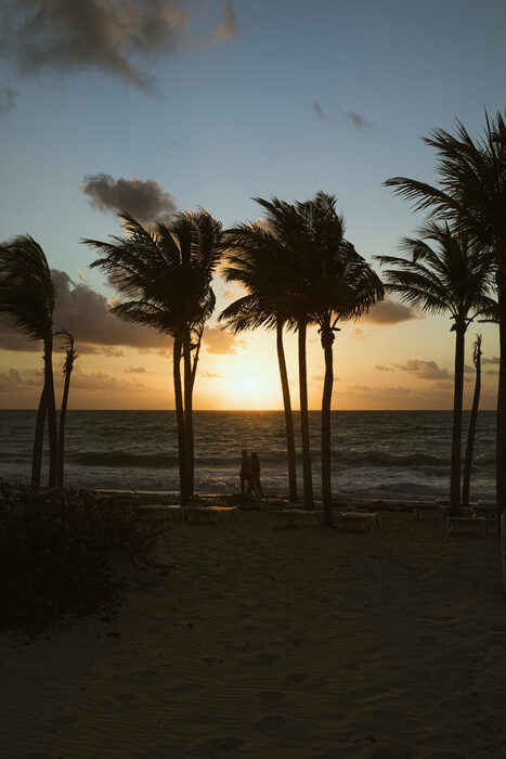 Palms at Dusk