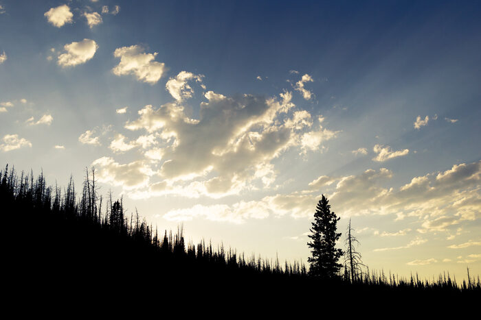 Sunrise
