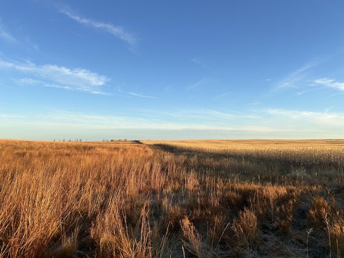 Tallgrass prairie at golden hour under a wide sky